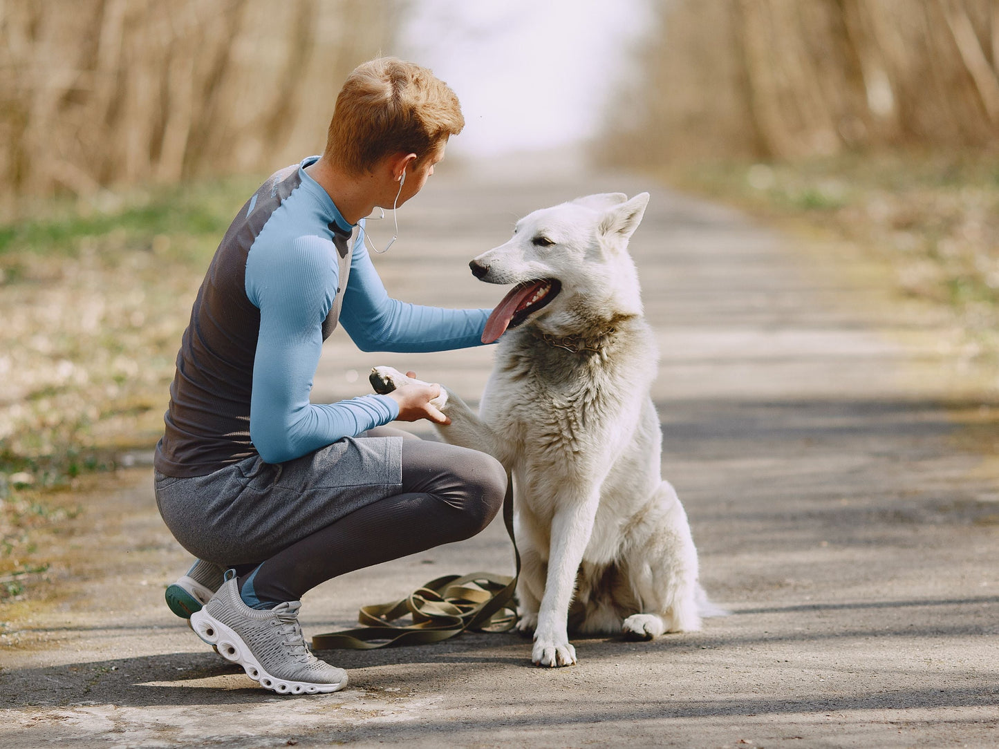 Uma leitura psíquica detalhada para animais de estimação