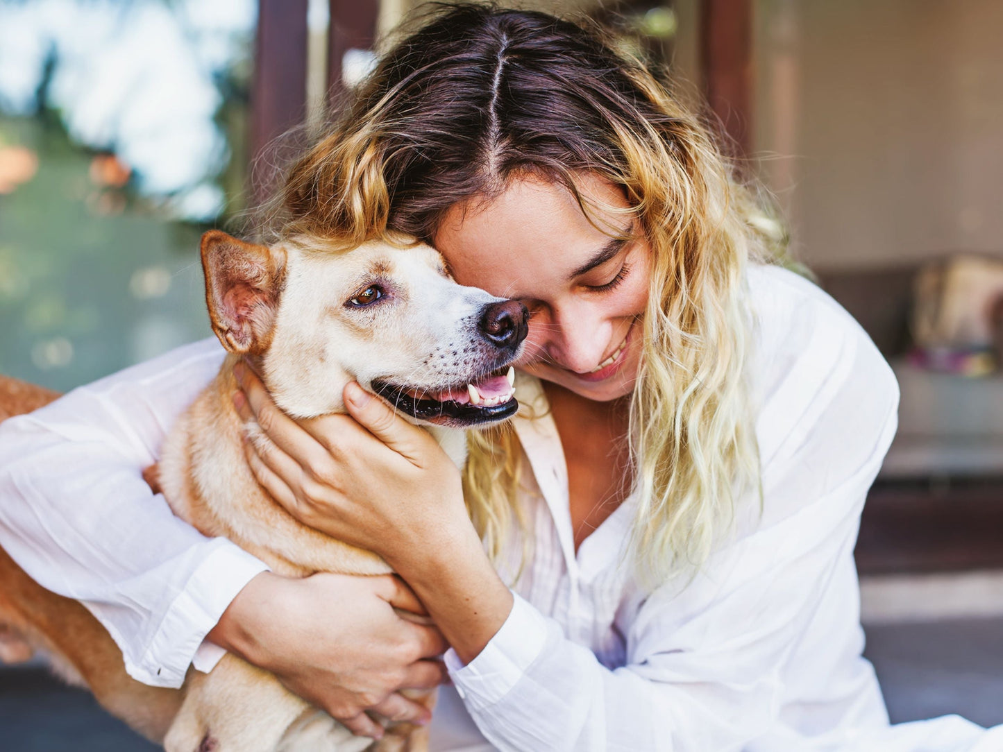 Une lecture psychique détaillée pour les animaux de compagnie